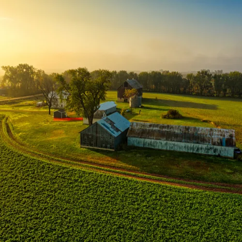 Savencia ï¿½ Platform Peduli Dunia Animal